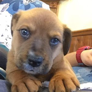 Meet your Posher, Timothy